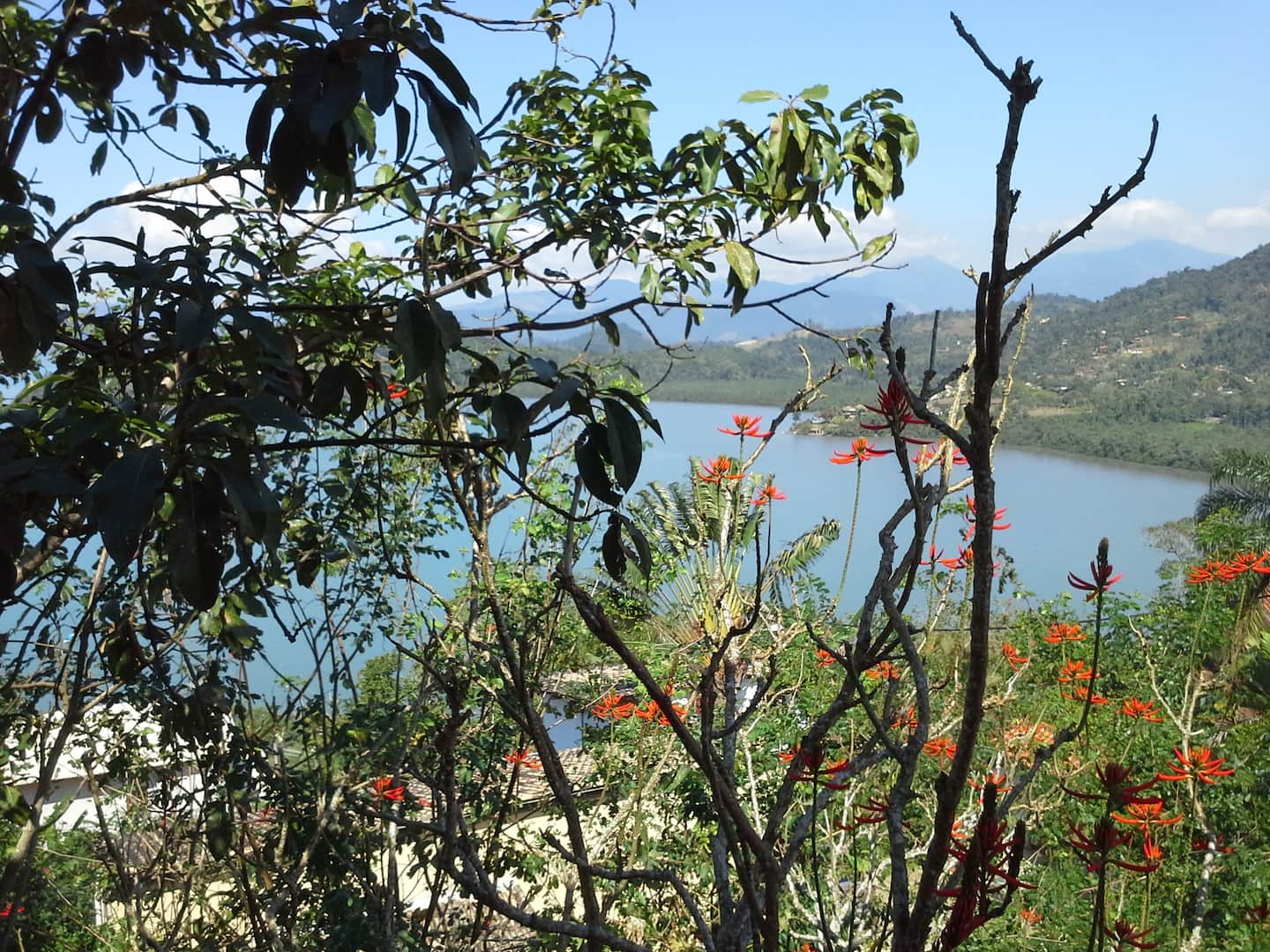 Vista da região de Paraty a partir da casa
